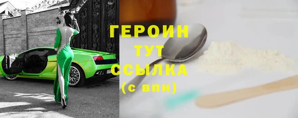 индика Богородицк